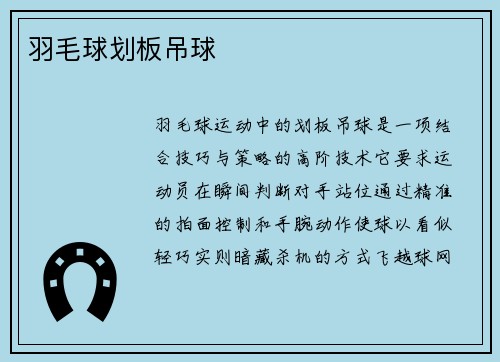羽毛球划板吊球